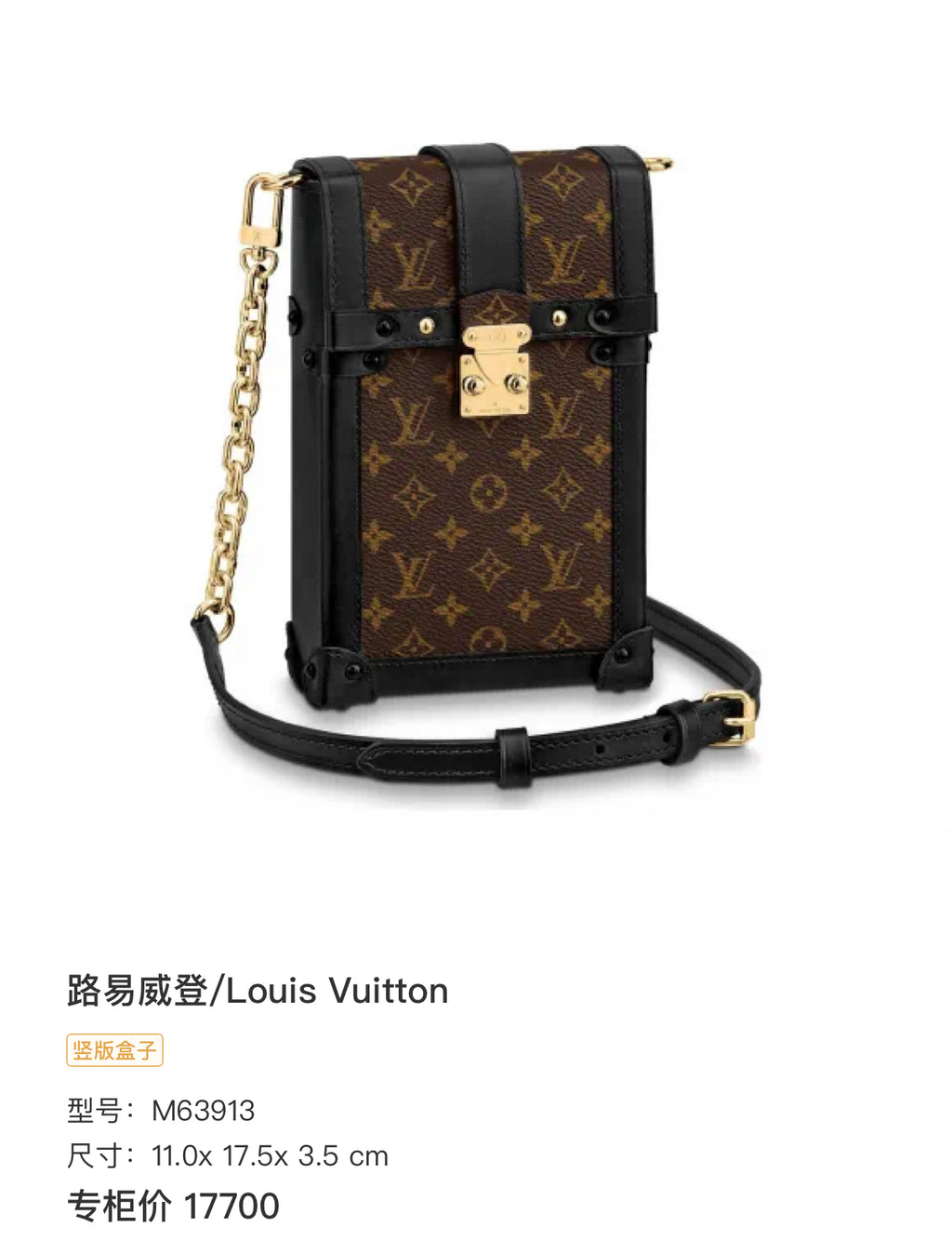 Louis Vuitton 11.0x 17.5x 3.5 cm M63913