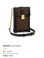 Louis Vuitton 11.0x 17.5x 3.5 cm M63913