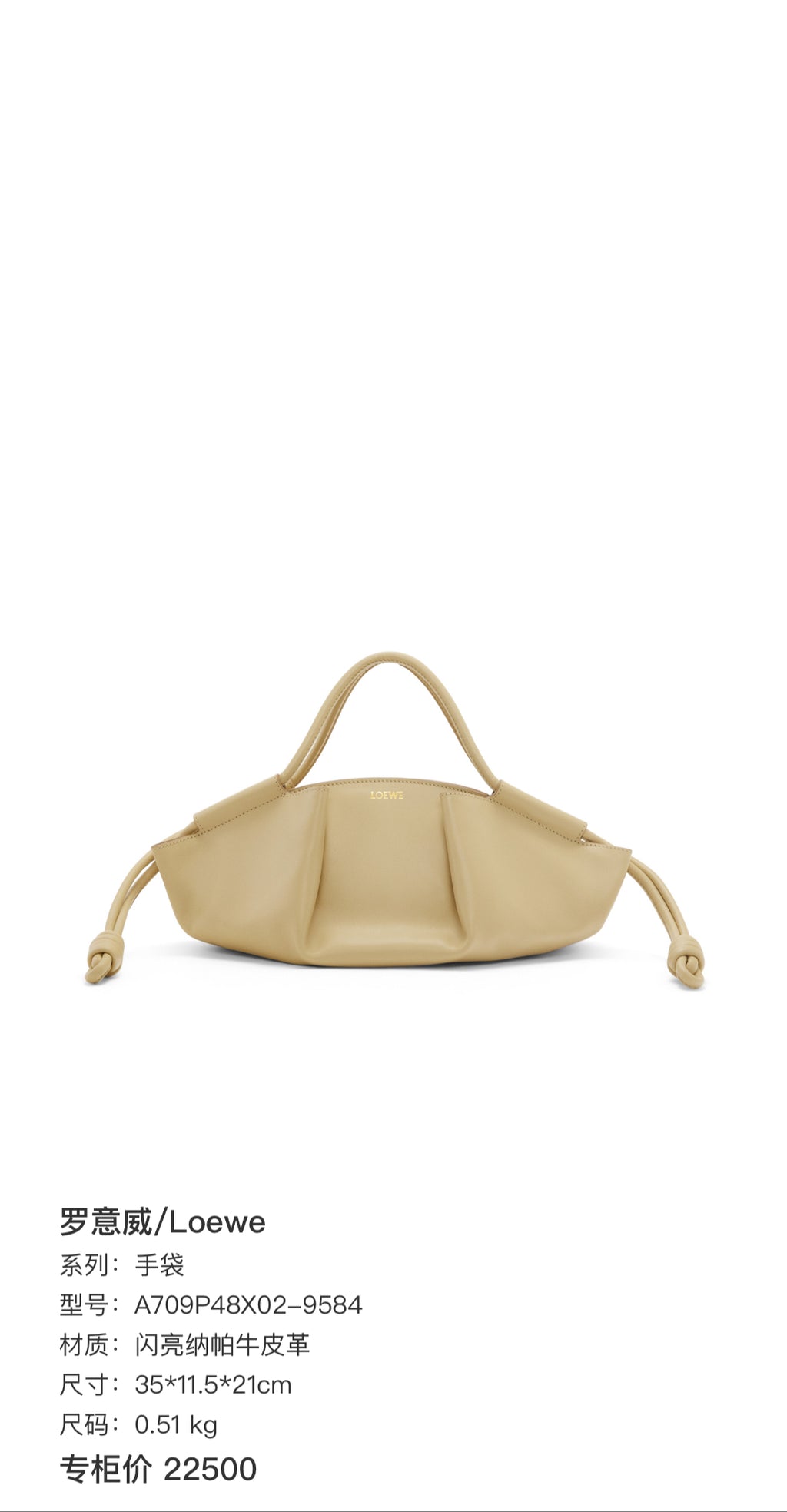 Loewe Handbag A709P48X02-9584