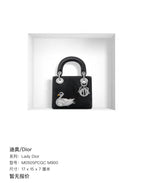 Dior Lady Dior 17 x 15 x 7 centimeters M0505PCGC M900