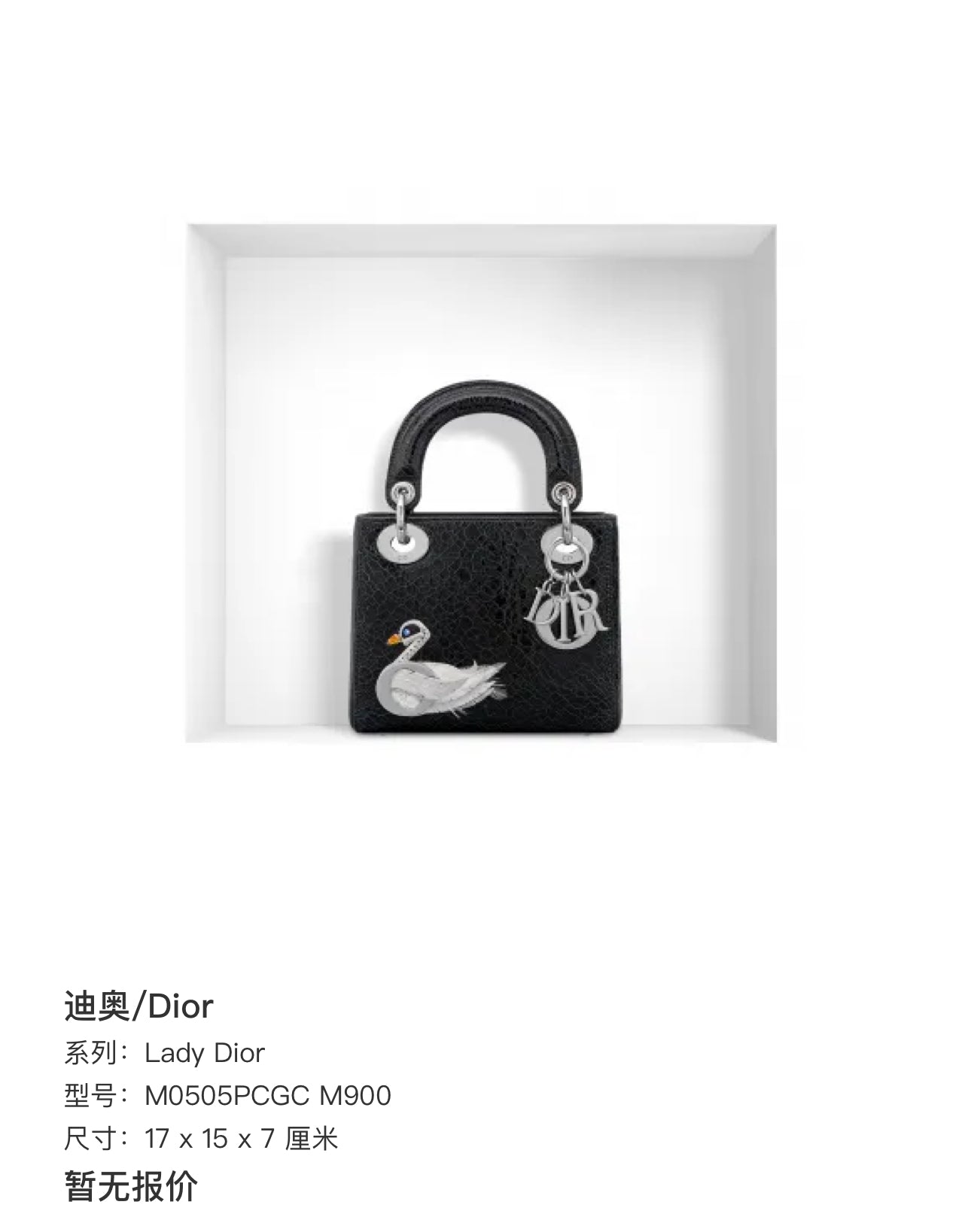 Dior Lady Dior 17 x 15 x 7 centimeters M0505PCGC M900
