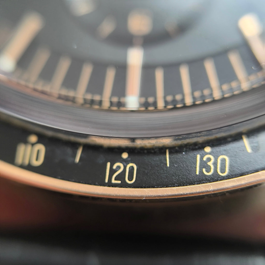 Omega Professional Series 42 310.63.42.50.01.001