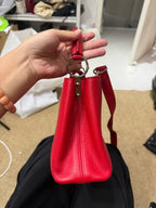 Louis Vuitton Red Satchel