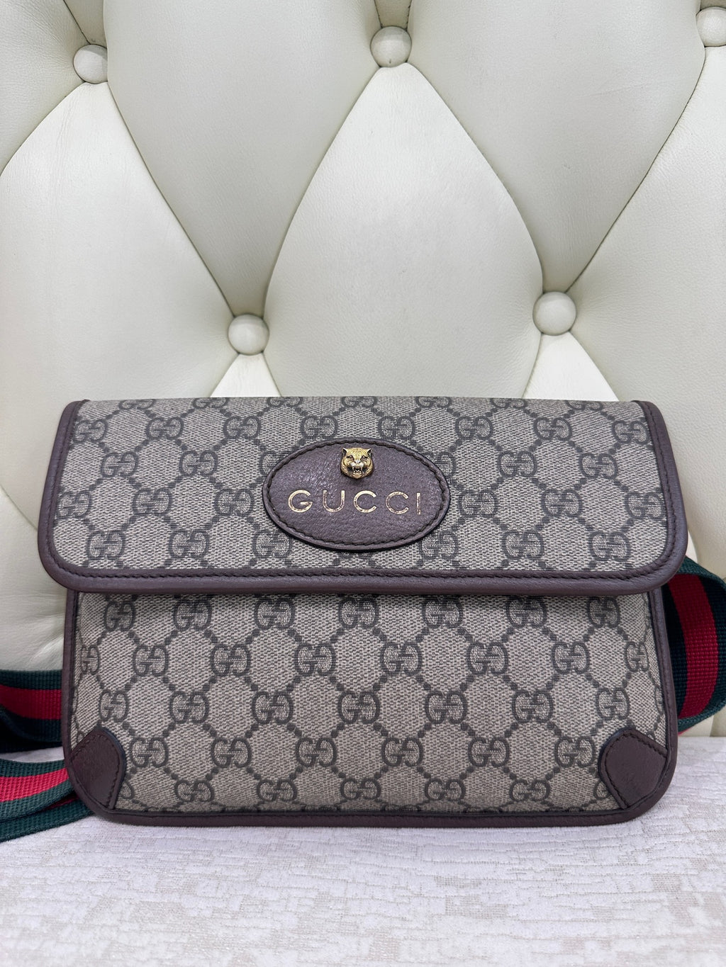 Gucci Belt Bag & Fanny Pack