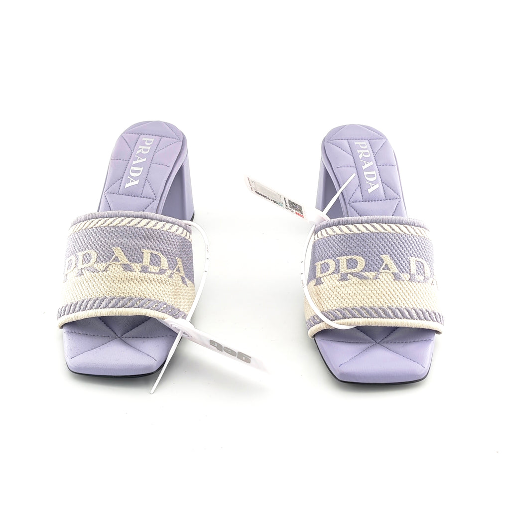 Dior Purple Flip flop
