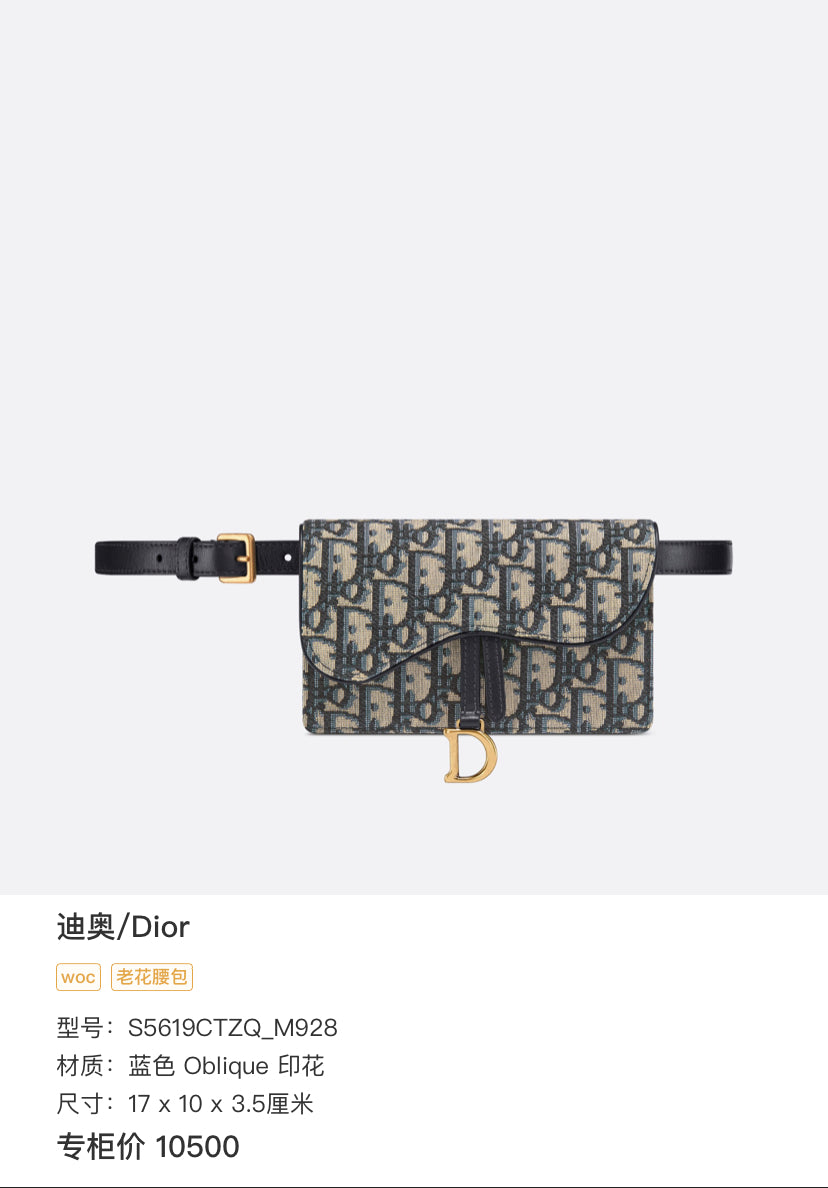 Dior Blue Belt Bag & Fanny Pack 17 x 10 x 3.5 centimeters S5619CTZQ_M928