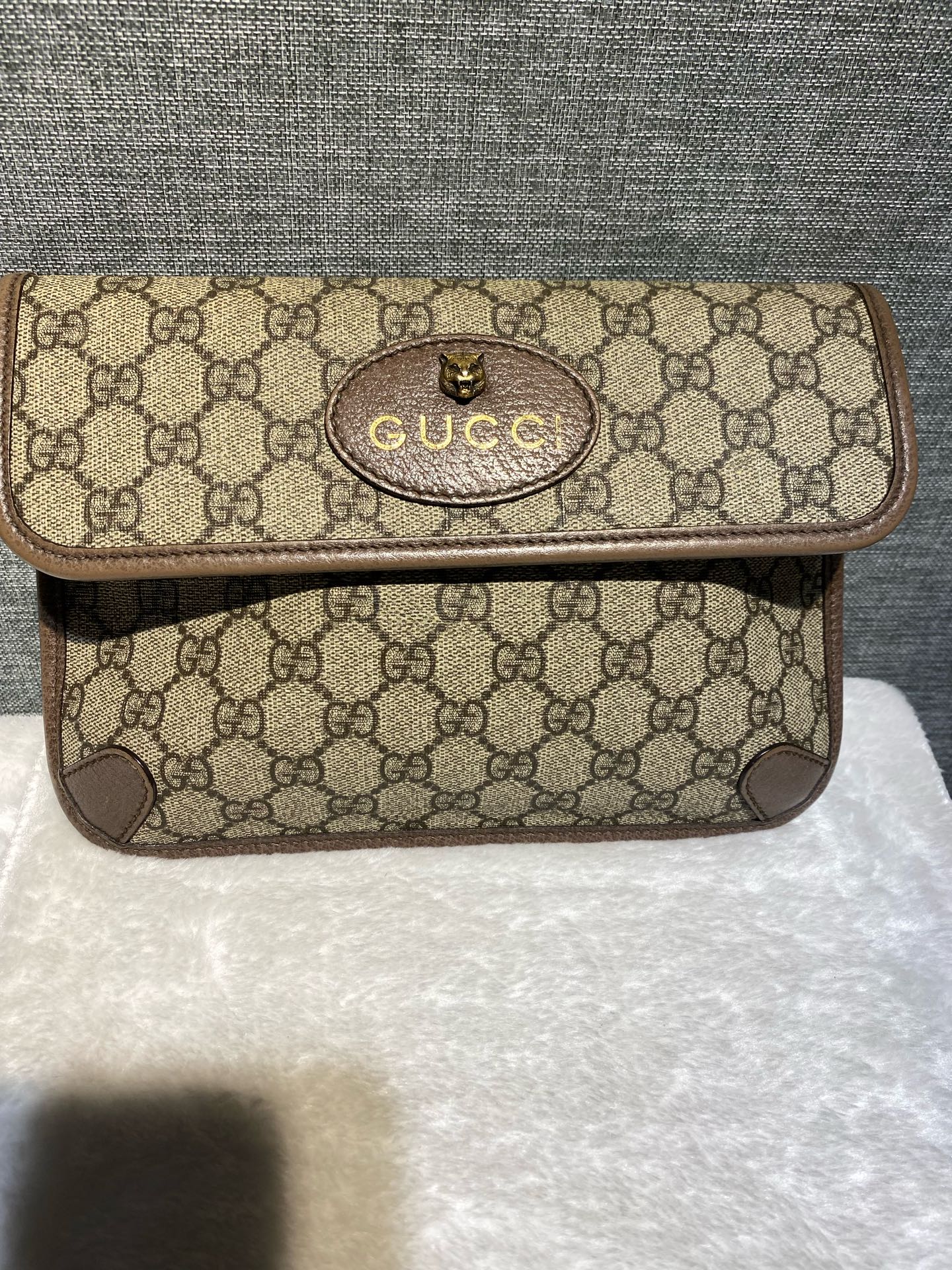 Gucci Canvas Beige Belt Bag & Fanny Pack 24*17*4 4939309C2VT8745