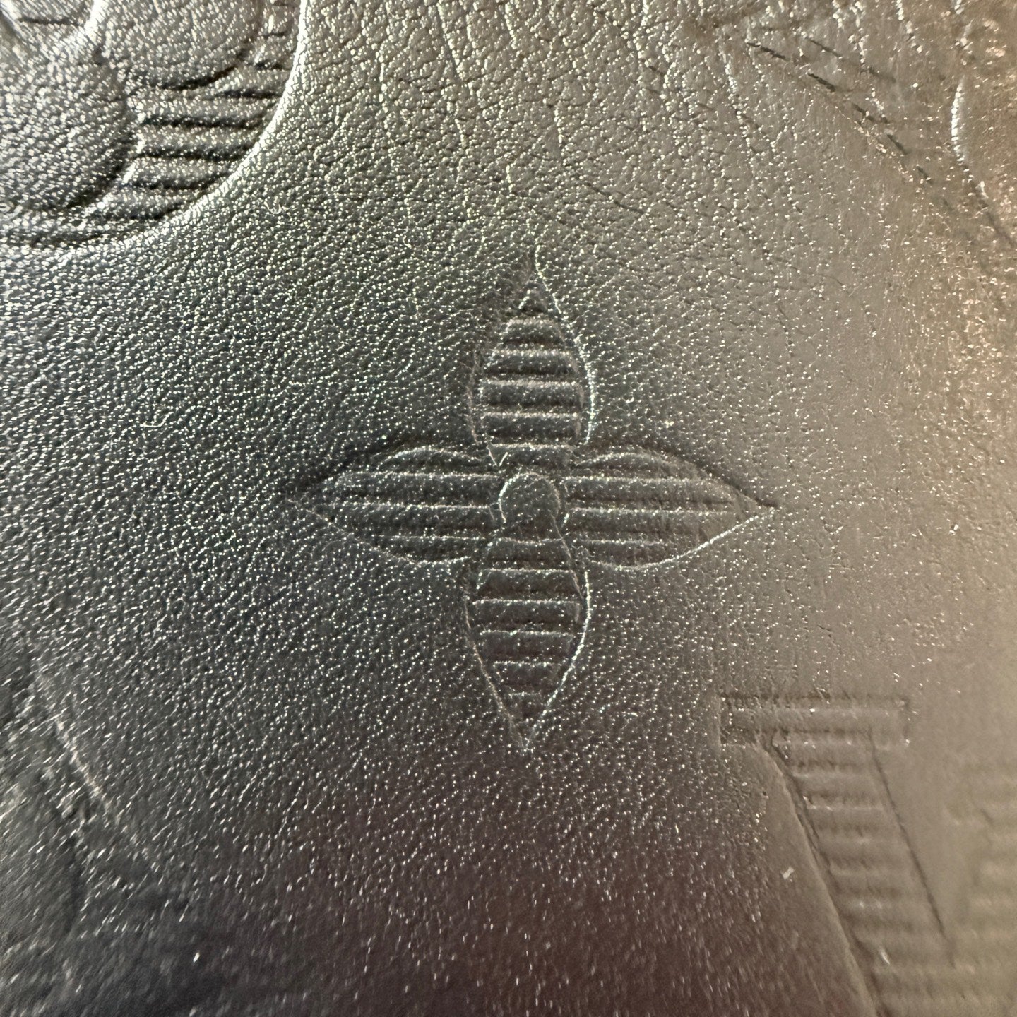 Louis Vuitton Black