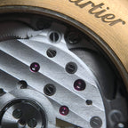Cartier Pasha de Cartier watch 41mm WGPA0026