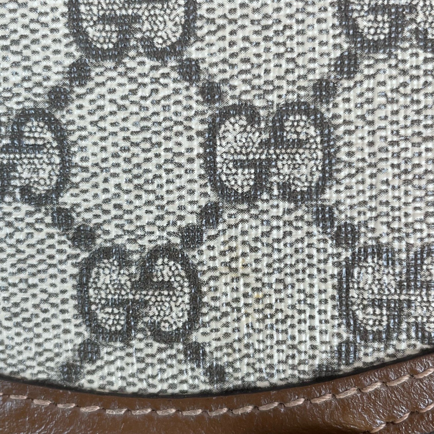 Gucci Canvas Crossbody