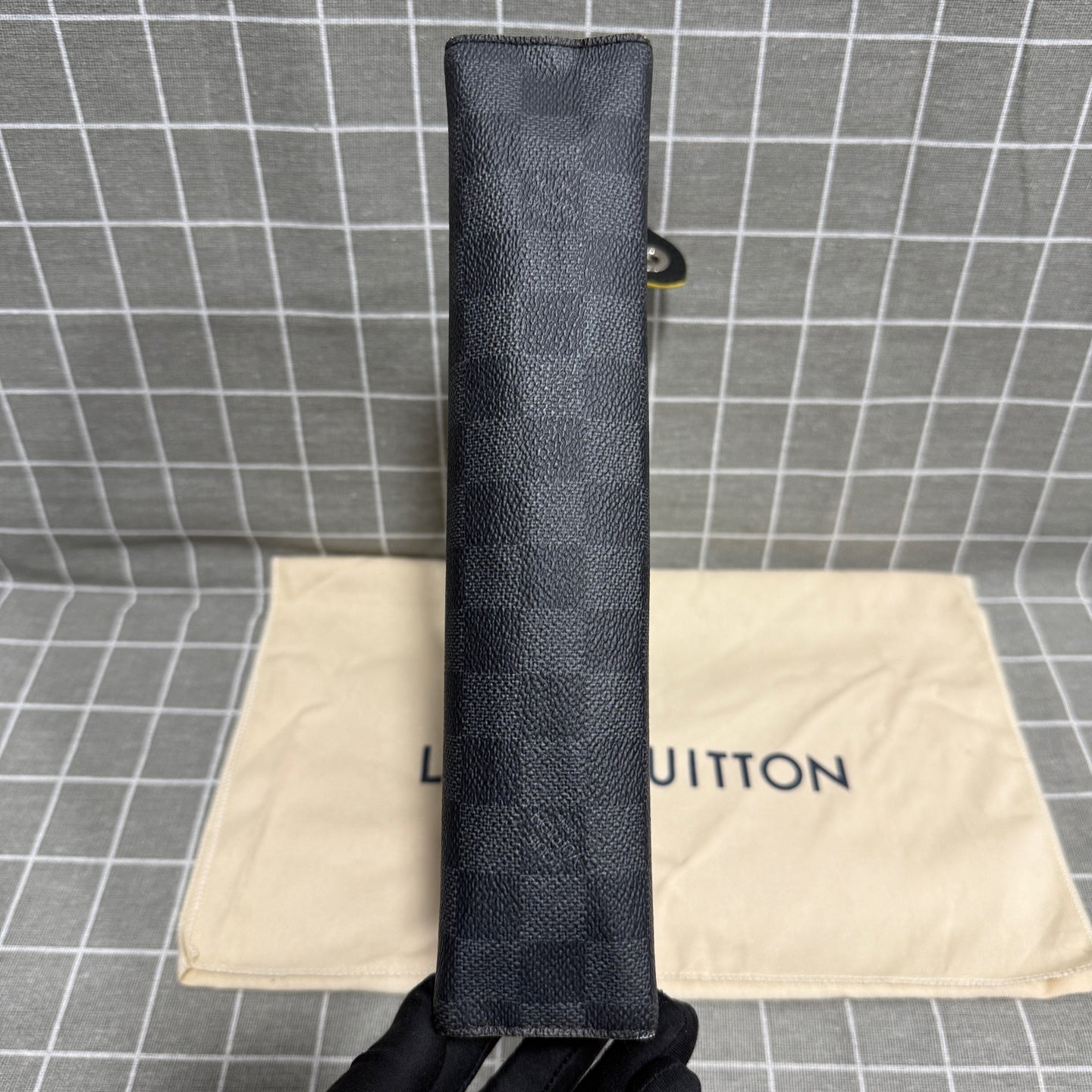 Louis Vuitton Leather N60307