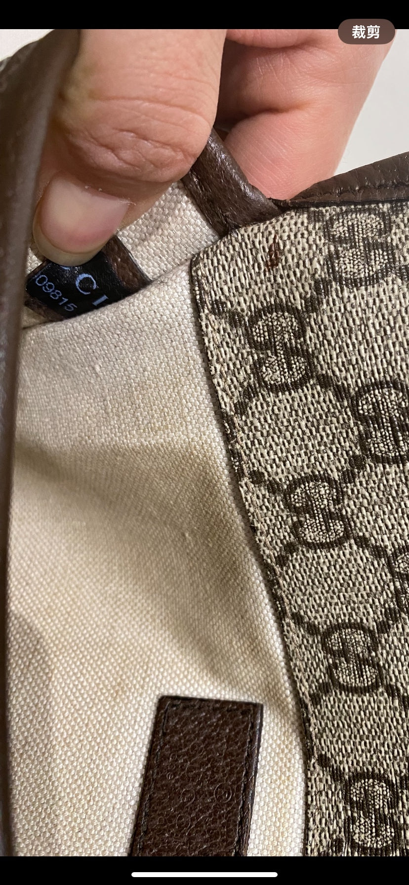 Gucci Canvas Beige Belt Bag & Fanny Pack 24*17*4 4939309C2VT8745
