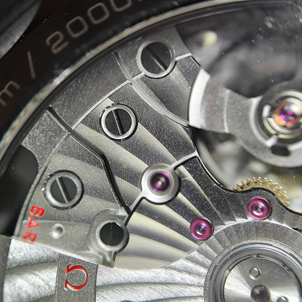 Omega Seahorse Series 45.5 215.92.46.51.01.001