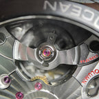 Omega Seahorse Series 45.5 215.92.46.51.01.001
