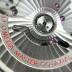 Omega Seahorse Series 45.5 215.92.46.51.01.001
