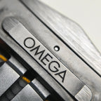 Omega Seahorse Series 45.5 215.92.46.51.01.001