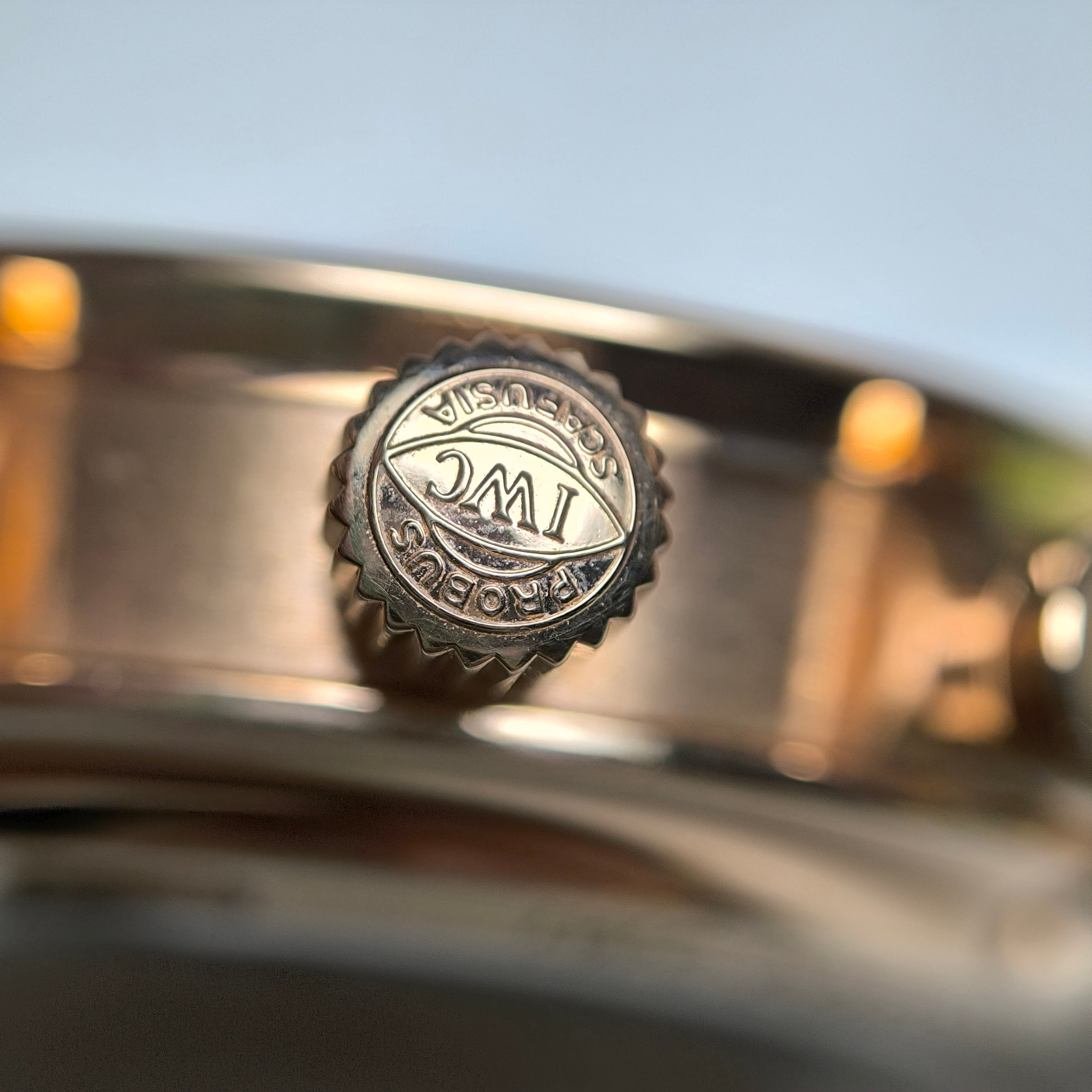 IWC IWC Portuguese Collection IW371611