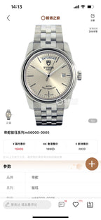Tudor Gray Automatic (self-winding) watch