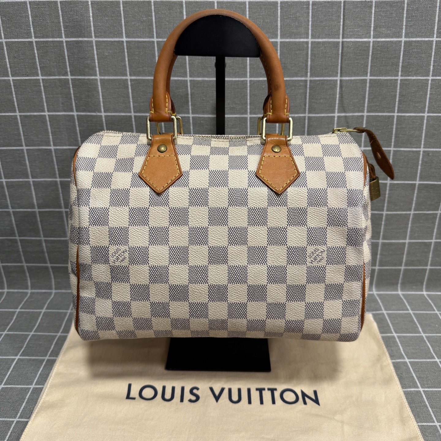 Louis Vuitton Speedy 25 Canvas N41371