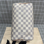 Louis Vuitton Speedy 25 Canvas N41371