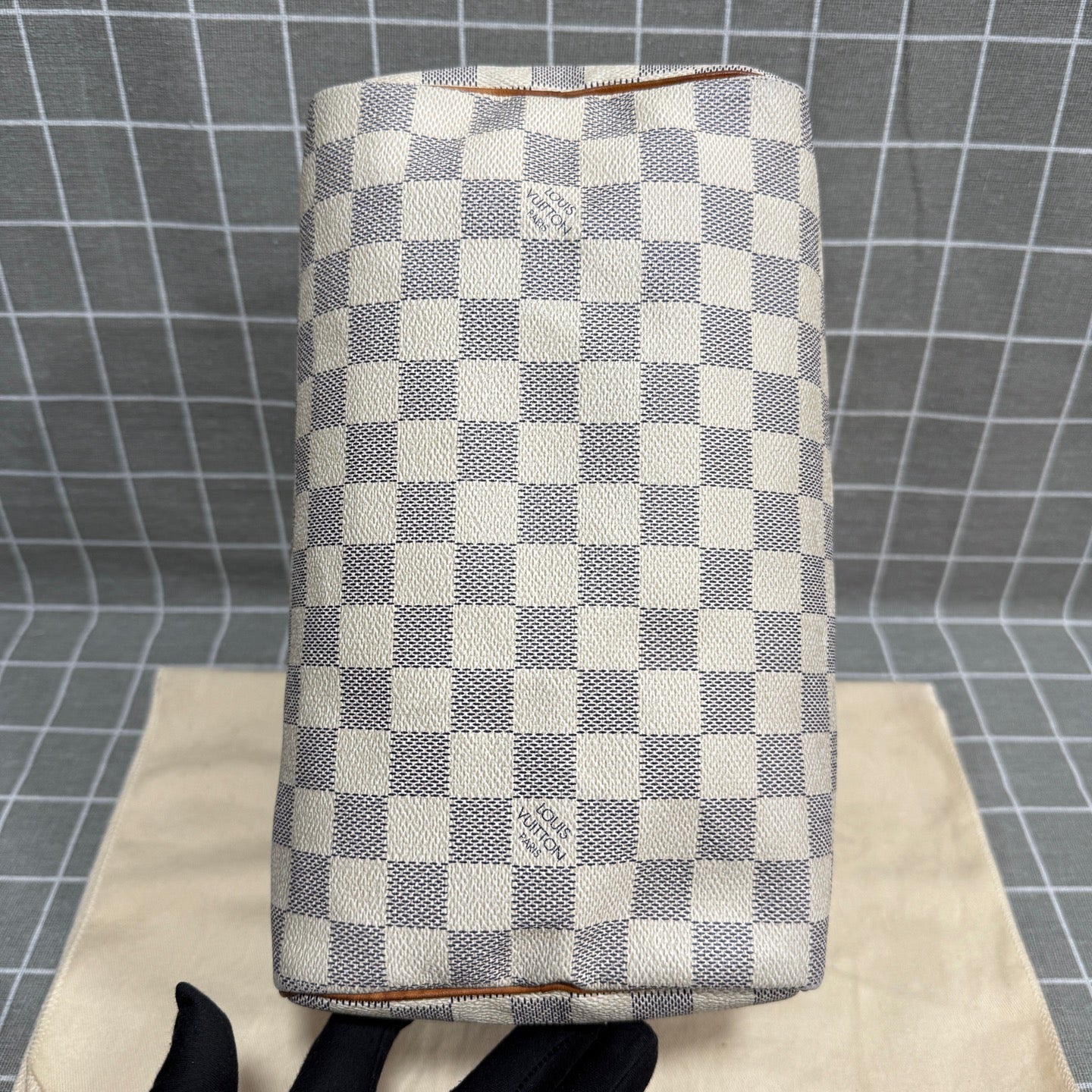 Louis Vuitton Speedy 25 Canvas N41371