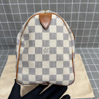 Louis Vuitton Speedy 25 Canvas N41371