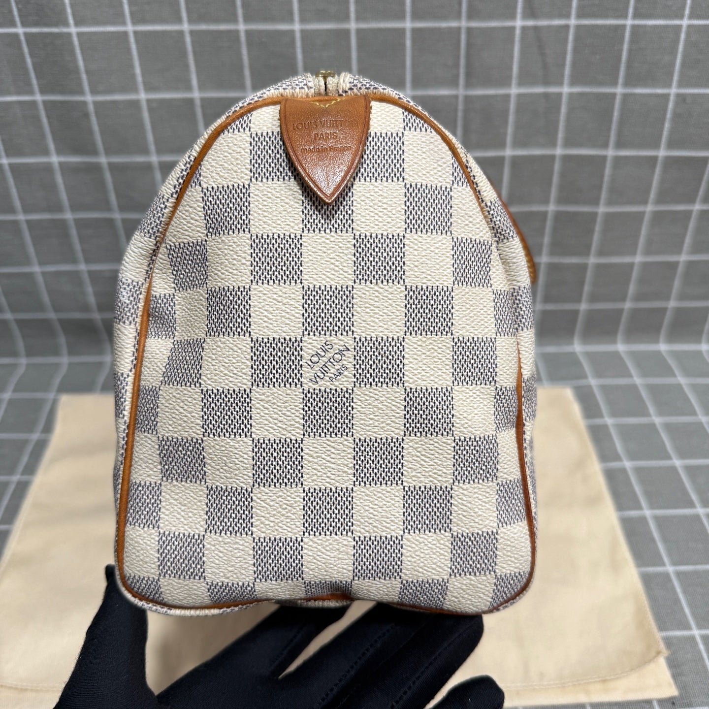 Louis Vuitton Speedy 25 Canvas N41371