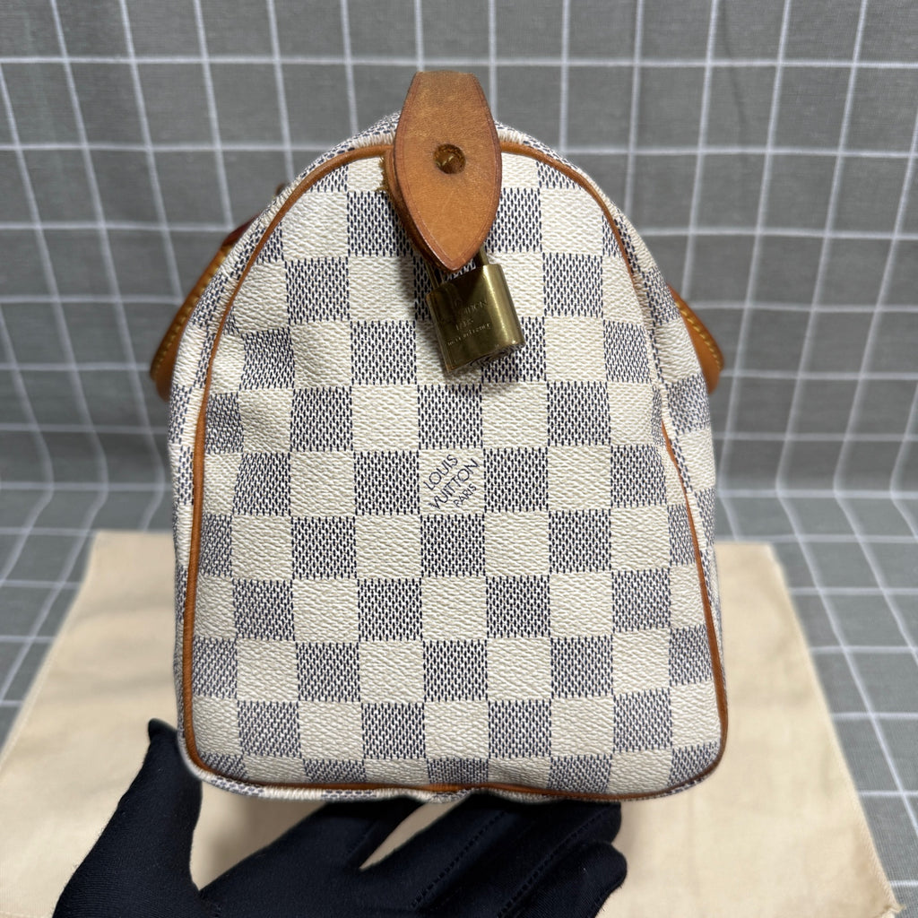 Louis Vuitton Speedy 25 Canvas N41371