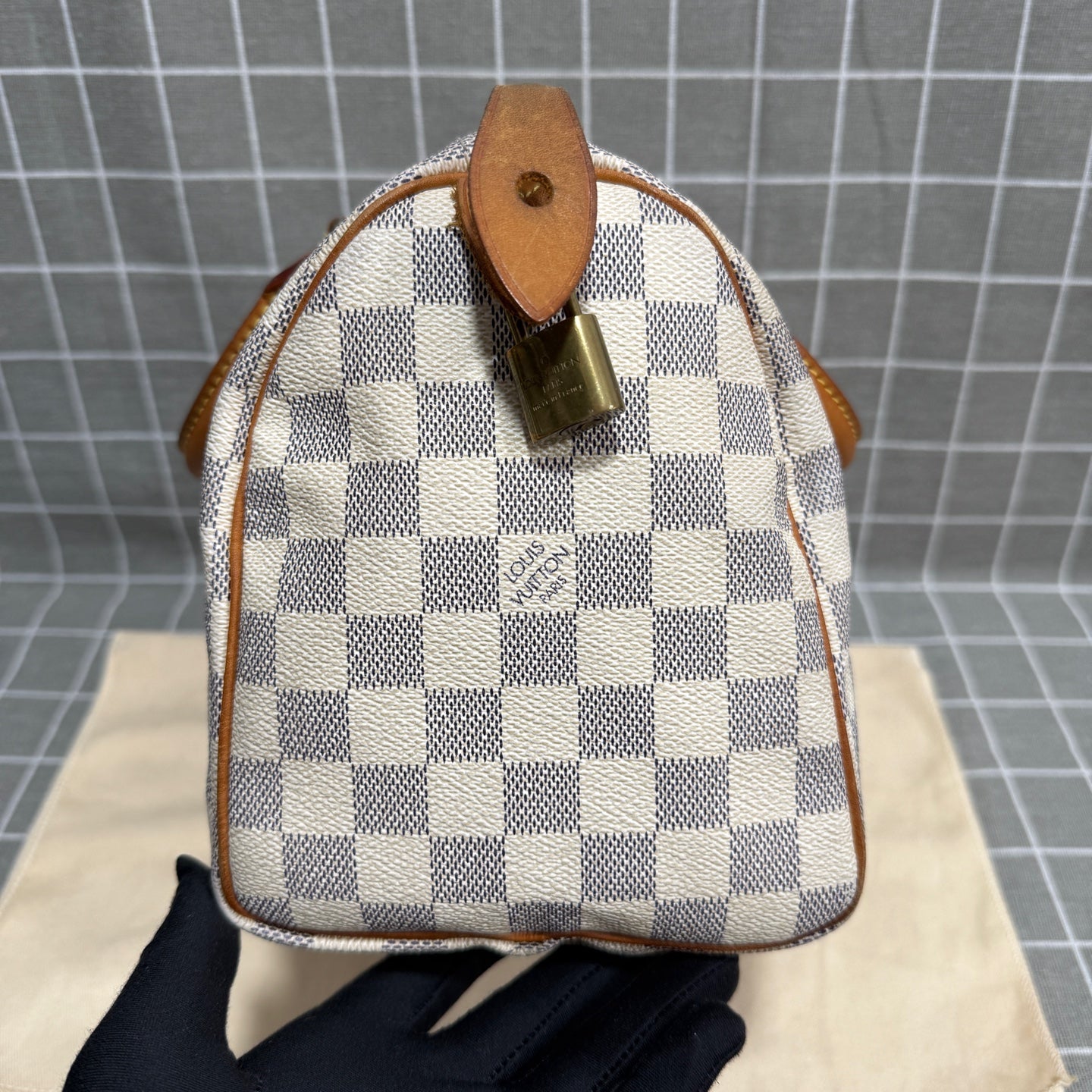 Louis Vuitton Speedy 25 Canvas N41371