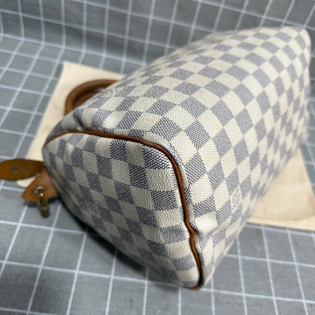 Louis Vuitton Speedy 25 Canvas N41371