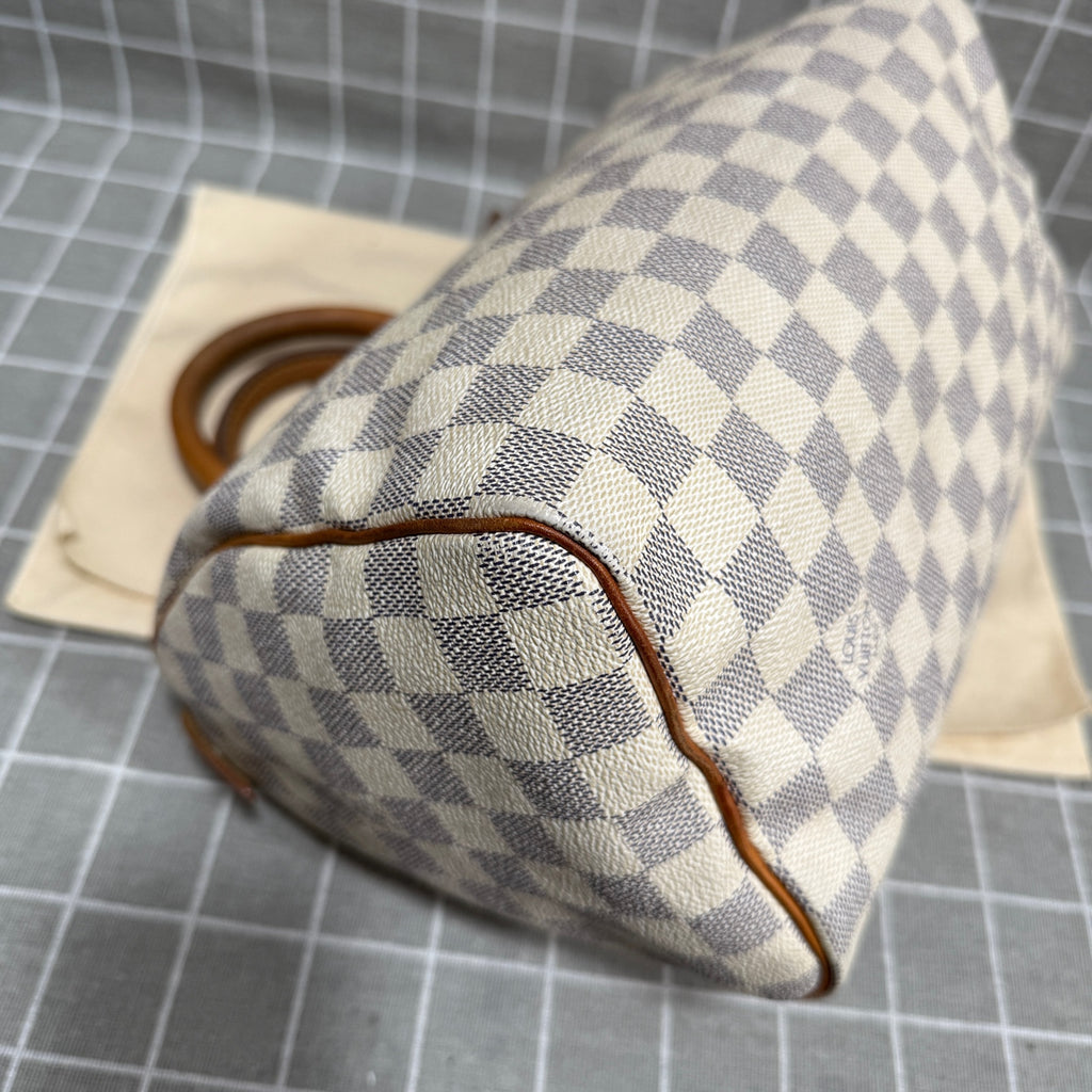 Louis Vuitton Speedy 25 Canvas N41371