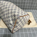 Louis Vuitton Speedy 25 Canvas N41371