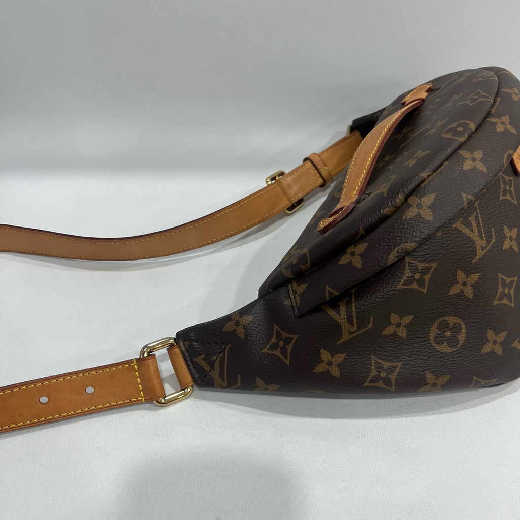 Louis Vuitton Belt Bag & Fanny Pack