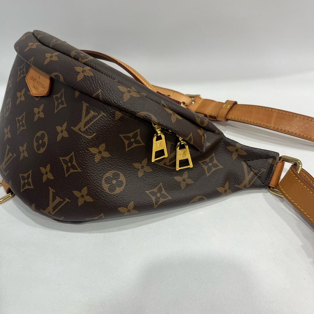 Louis Vuitton Belt Bag & Fanny Pack