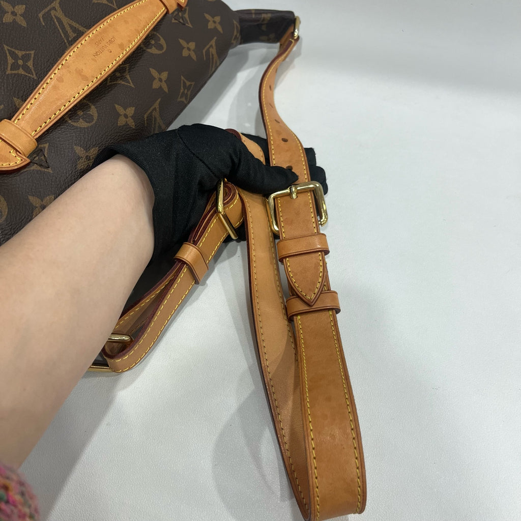 Louis Vuitton Belt Bag & Fanny Pack