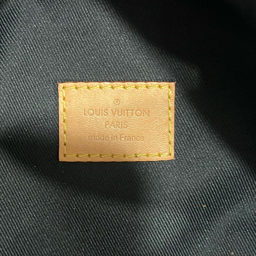 Louis Vuitton Belt Bag & Fanny Pack