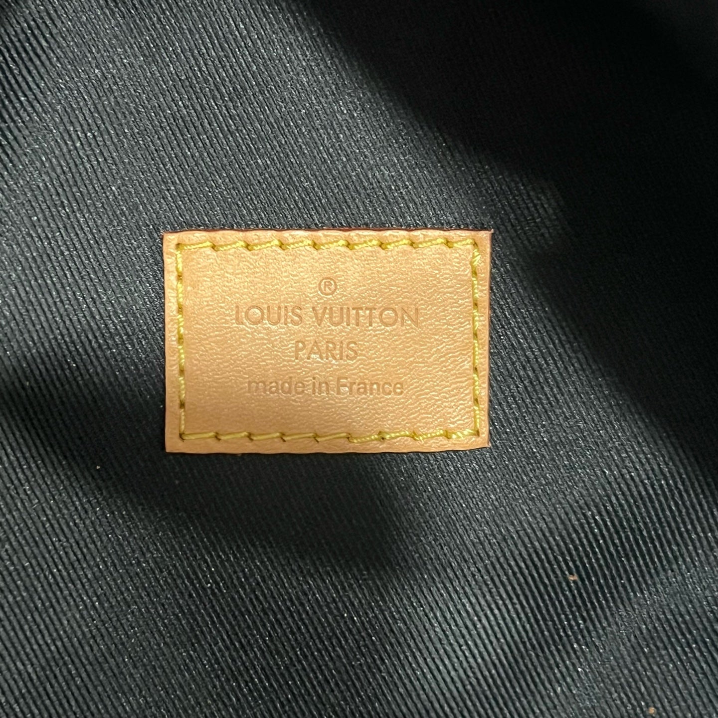 Louis Vuitton Belt Bag & Fanny Pack