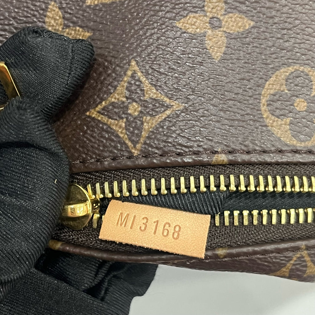 Louis Vuitton Belt Bag & Fanny Pack