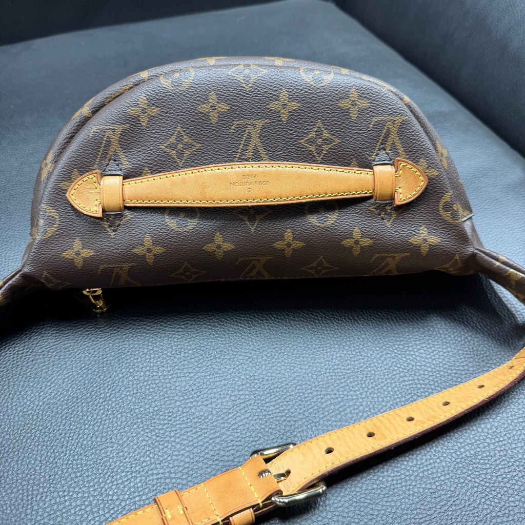Louis Vuitton Belt Bag & Fanny Pack
