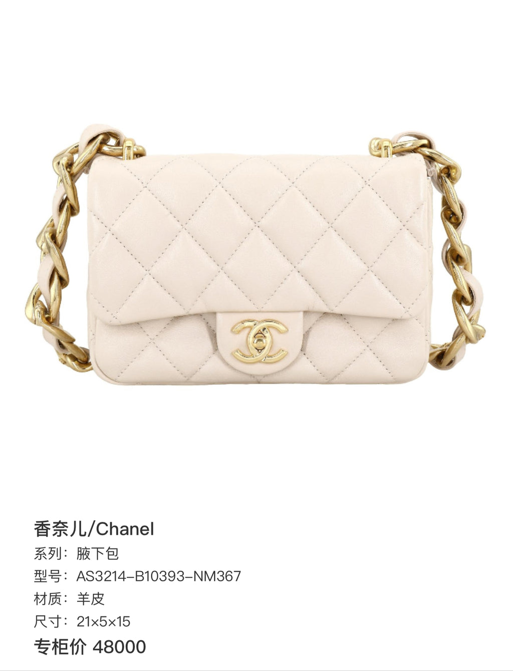 Chanel Axillary mass 21×5×15 AS3214-B10393-NM367