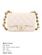 Chanel Axillary mass 21×5×15 AS3214-B10393-NM367