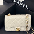 Chanel Axillary mass 21×5×15 AS3214-B10393-NM367