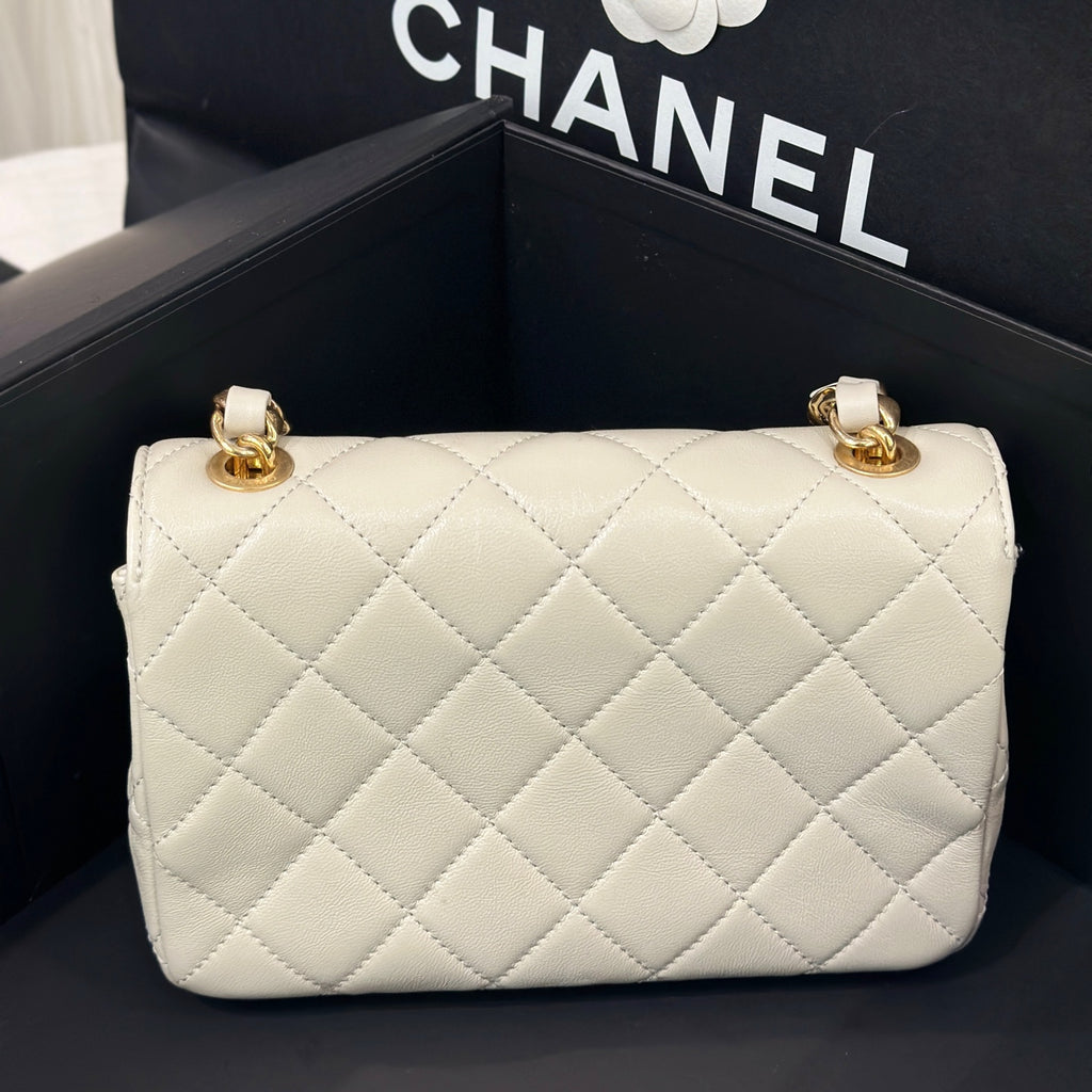 Chanel Axillary mass 21×5×15 AS3214-B10393-NM367