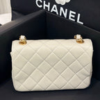 Chanel Axillary mass 21×5×15 AS3214-B10393-NM367