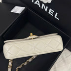 Chanel Axillary mass 21×5×15 AS3214-B10393-NM367