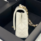 Chanel Axillary mass 21×5×15 AS3214-B10393-NM367