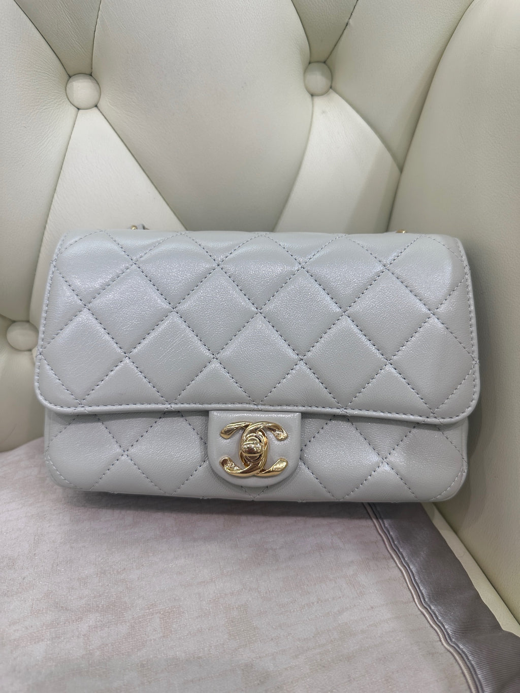 Chanel Axillary mass 21×5×15 AS3214-B10393-NM367
