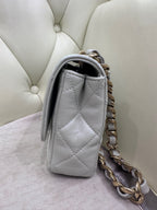 Chanel Axillary mass 21×5×15 AS3214-B10393-NM367