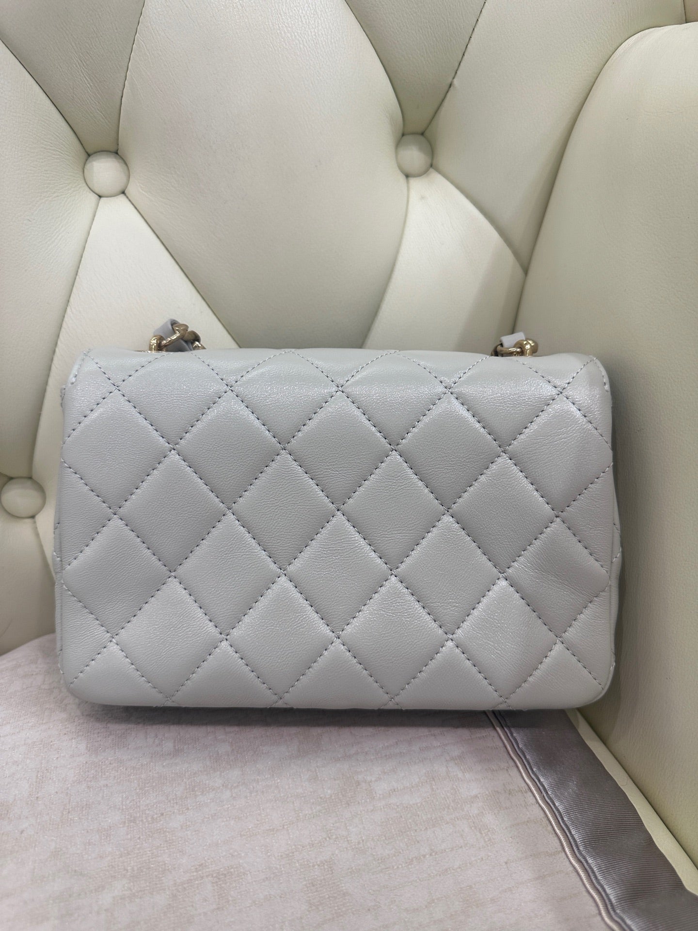 Chanel Axillary mass 21×5×15 AS3214-B10393-NM367