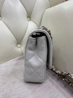 Chanel Axillary mass 21×5×15 AS3214-B10393-NM367